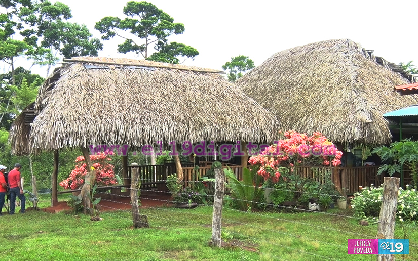 finca